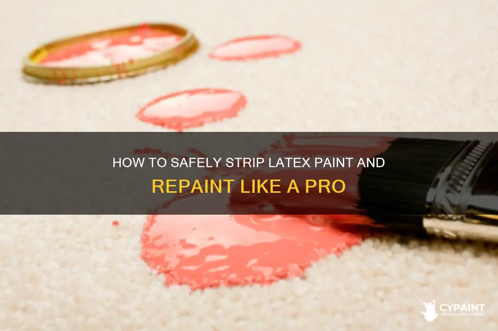 have somebody strip latax paint and repaint