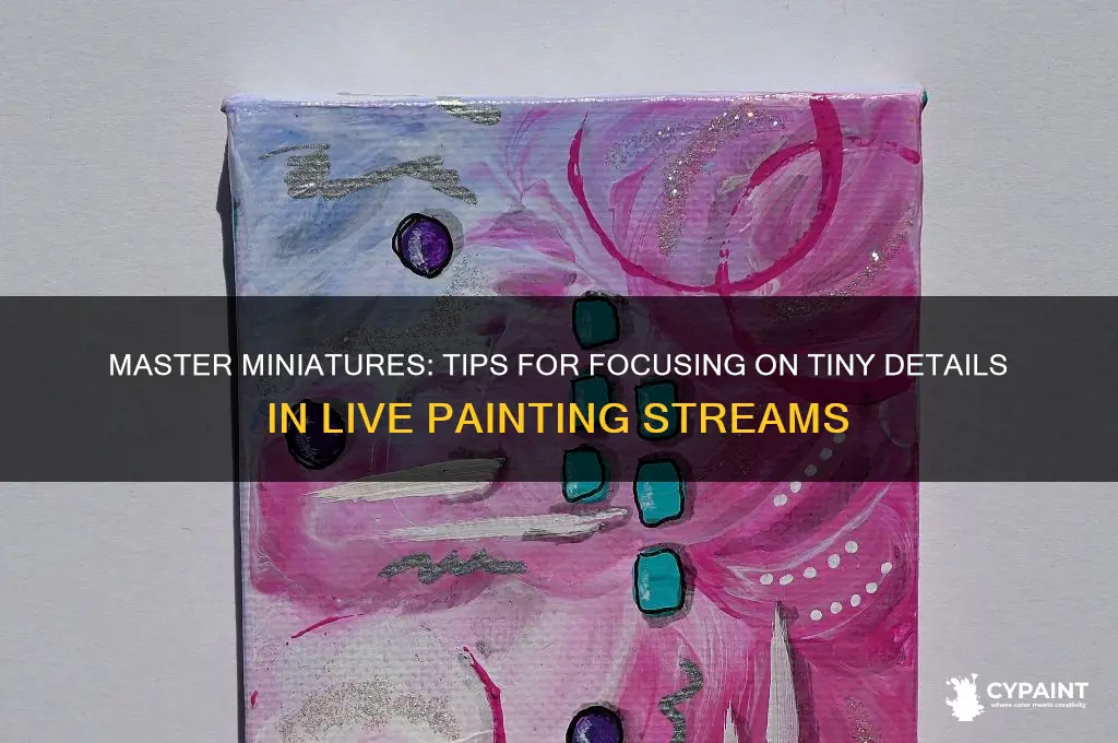 have the whole mini in focus when live streaming painting