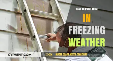 Painting Trim in Freezing Weather: Essential Tips for a Flawless Finish