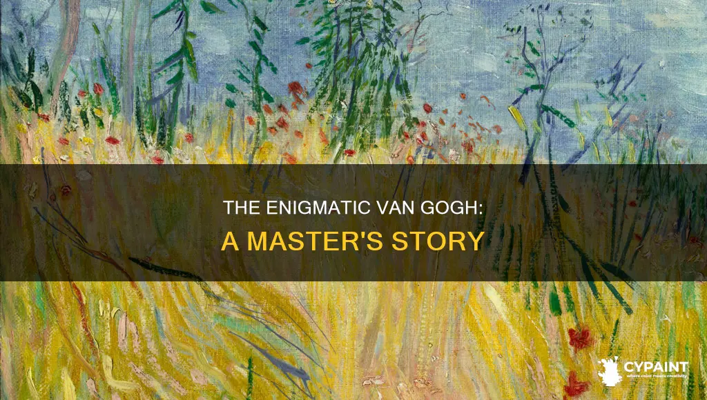 have you heard about the painter vincent van gogh
