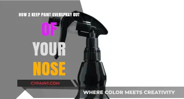 Protect Your Nose from Paint Overspray