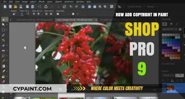 Add Copyright to Your Work in Paint Shop Pro 9