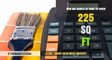 How Much Paint Do You Need for 225 Sq Ft?