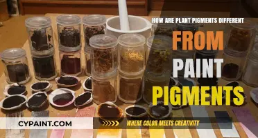 Unlocking Nature's Secrets: Plant Pigments vs. Paint