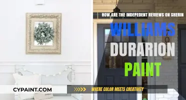 Sherwin-Williams Duration Paint: Honest Independent Reviews and Performance Insights