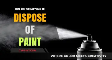 Dispose of Paint the Right Way