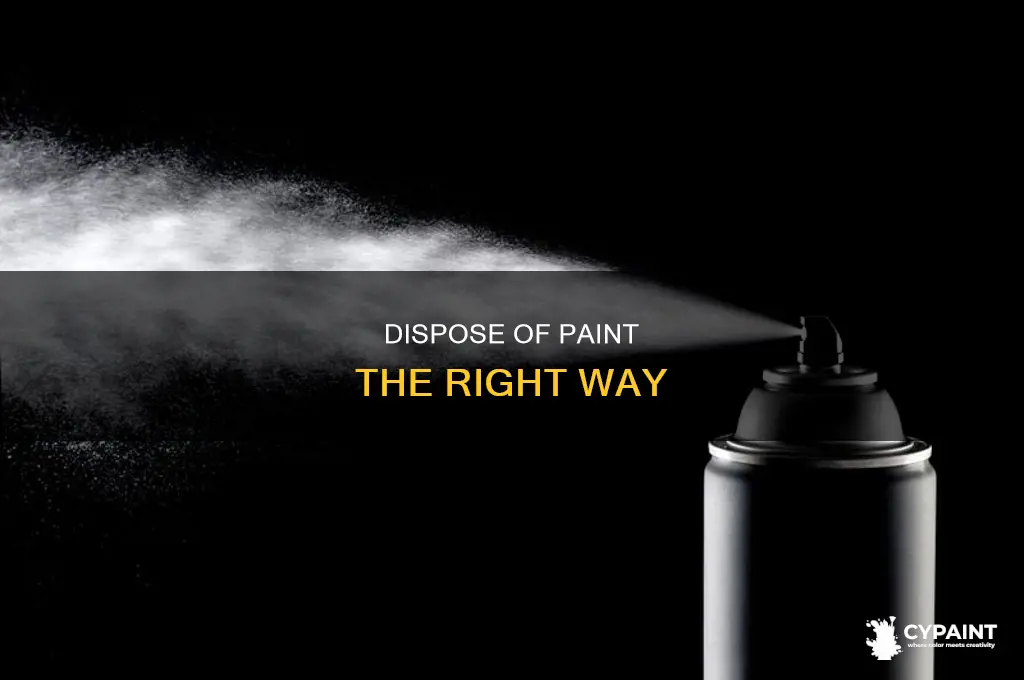 how are you supposed to dispose of paint