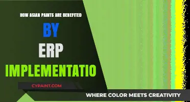 Asian Paints: ERP Implementation Success Story