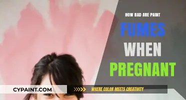 Pregnancy and Paint Fumes: Understanding the Risks for a Healthy Baby