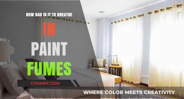 Paint Fumes: Are They Harmful to Breathe?