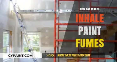 Paint Fumes: Inhaling Toxicity and Its Health Risks