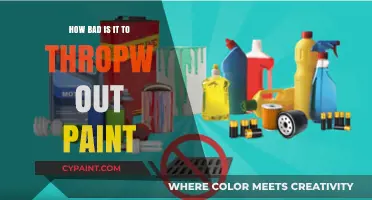 The Impact of Paint Disposal: Environmental Hazards and Solutions