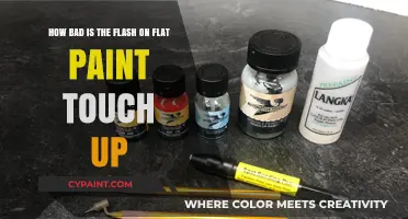 Flat Paint Touch-Ups: The Flash Problem Explained and Solutions