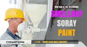 Spray Paint Smells: How Harmful Are They?