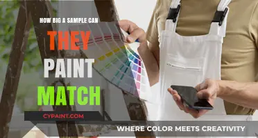 Precision in Paint Matching: How Big a Sample is Enough?