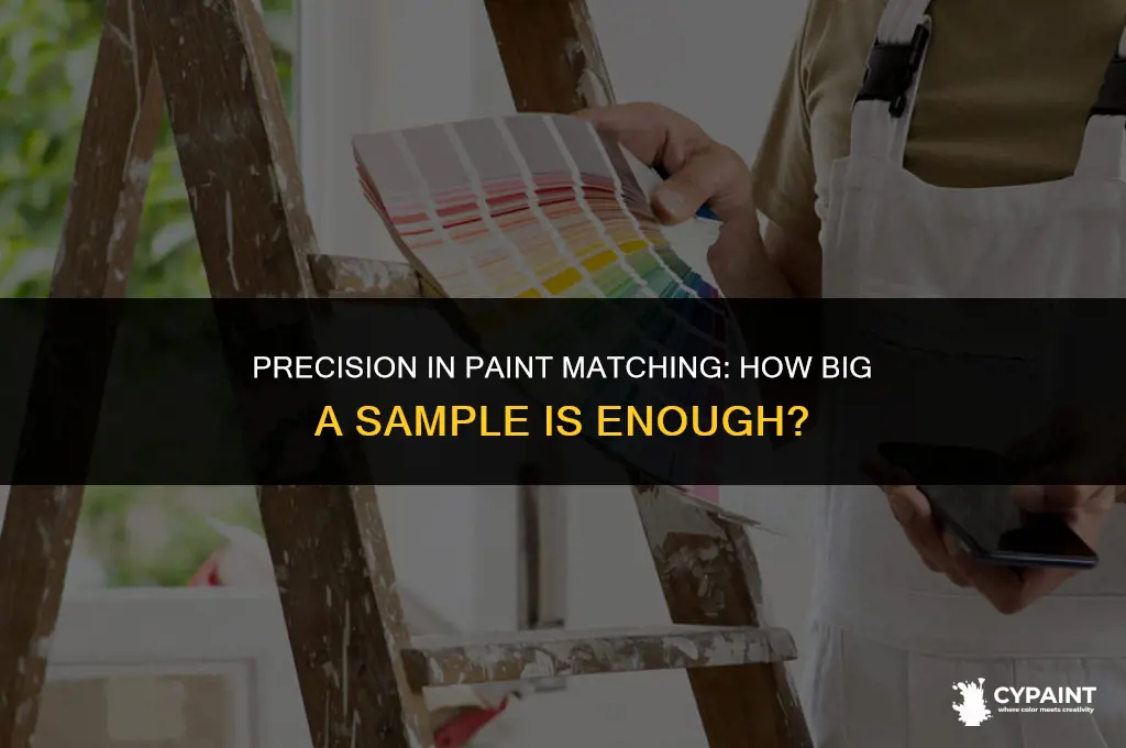 how big a sample can they paint match