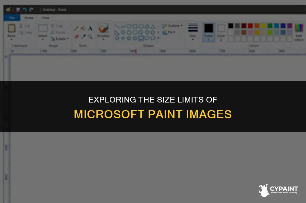 how big can a microsoft paint image bee