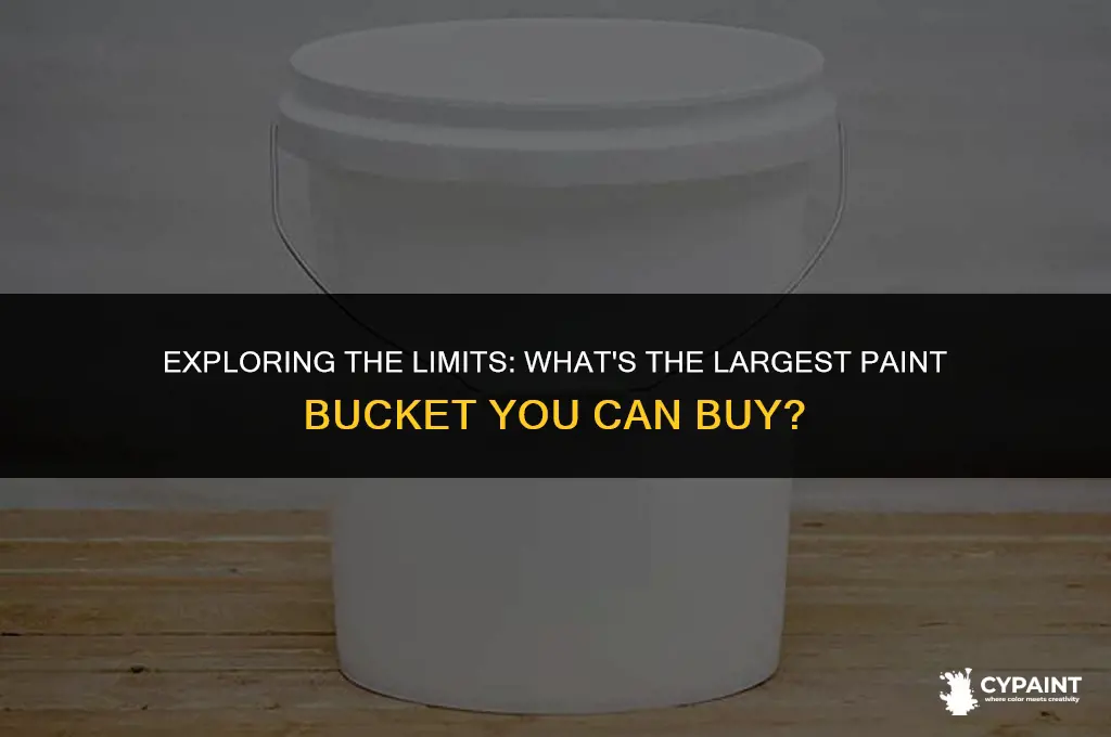 how big can a paint bucket be purchase