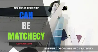 Paint Chip Matching: Solving the Size Conundrum
