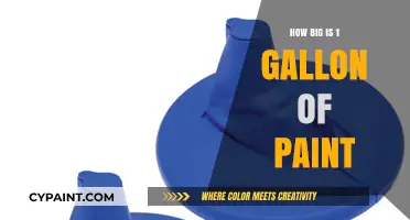 Understanding Paint Coverage: How Big is 1 Gallon of Paint?