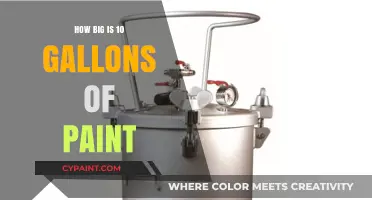 Understanding the Size and Coverage of 10 Gallons of Paint