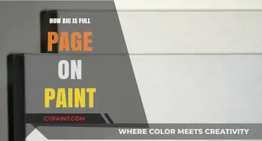 Understanding Full Page Dimensions in Paint: A Comprehensive Size Guide
