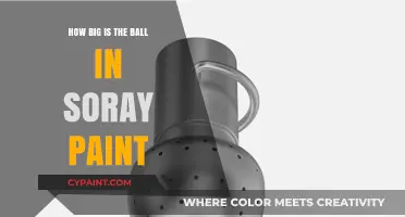 The Massive Ball in Spray Paint Art
