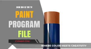 TVPaint Program File Sizes: Understanding Storage Space