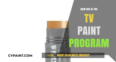 Exploring TVPaint's Size: A Comprehensive Guide to Its Program Features