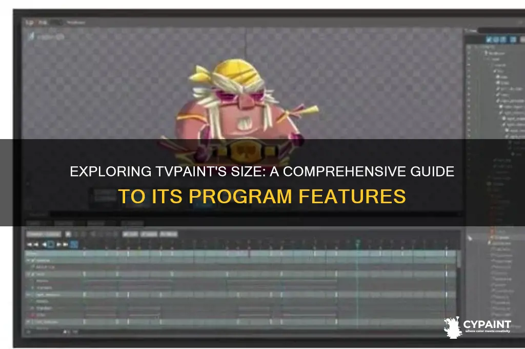how big is the tv paint program