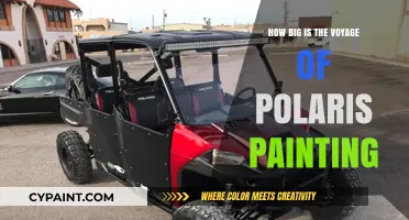 Polaris Painting: A Massive Voyage of Discovery