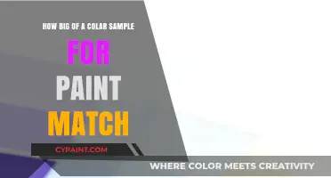 Paint Matching: The Right Collar Sample Size