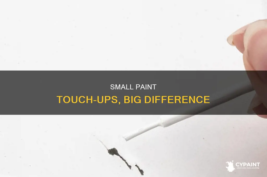 how big of a difference paint touch up