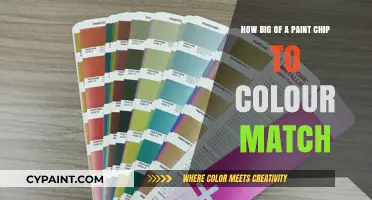 Paint Chip Size for Accurate Color Matching