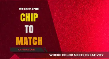 Choosing the Right Paint Chip Size for Accurate Color Matching