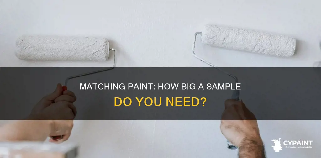how big of a piece of paint to match