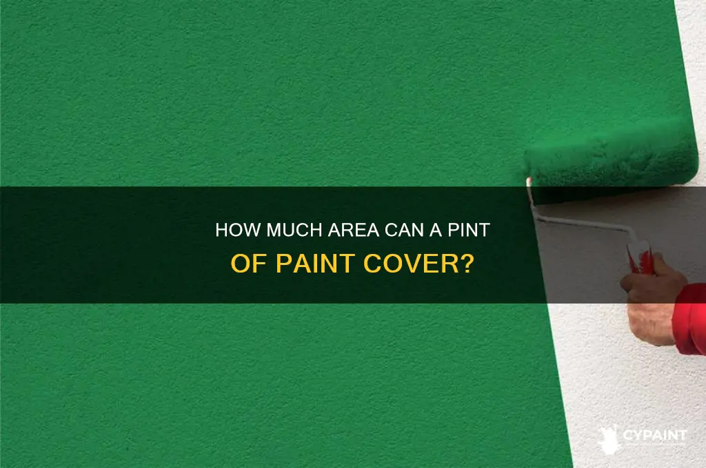 how big of an area does a pint of paint