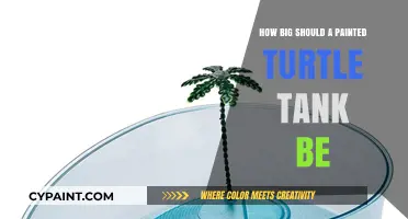 The Ideal Tank Size for a Painted Turtle