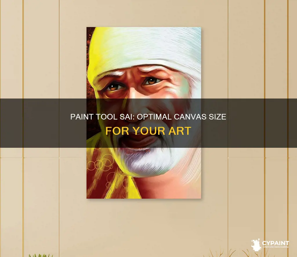 how big should your paint tool sai canvest be