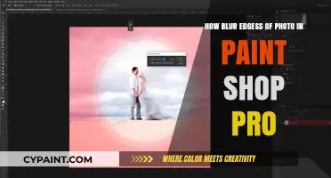 Blurring Photos: Paint Shop Pro's Soft Focus Effect