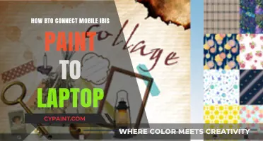Syncing Ibis Paint: Mobile to Laptop