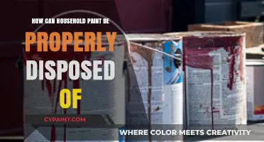 Eco-Friendly Farewell: Properly Disposing of Household Paint