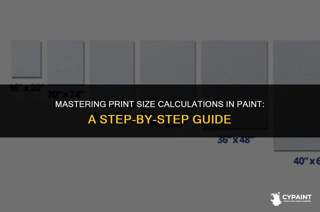 how can i calculate print size on paint