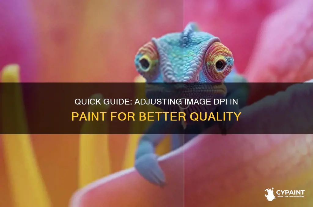 how can i change dpi of an image in paint