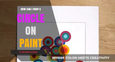 Mastering Circle Cropping in Paint: A Step-by-Step Guide
