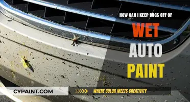 Prevent Bugs on Wet Auto Paint: Effective Tips and Tricks