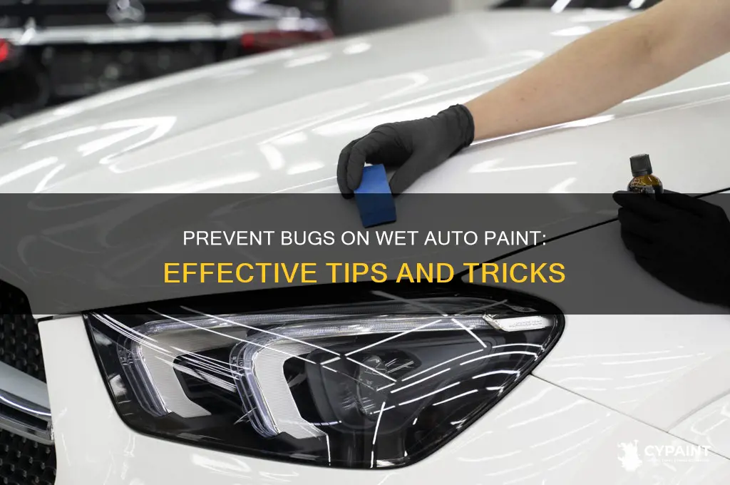 how can i keep bugs off of wet auto paint
