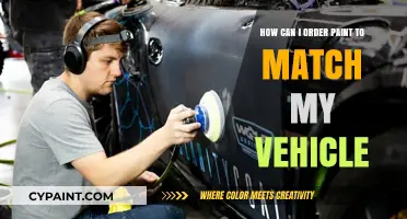 Matching Car Paint: A Guide to Ordering the Right Color