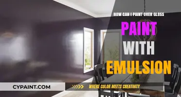 The Best Way to Paint Over Gloss: Emulsion Tips