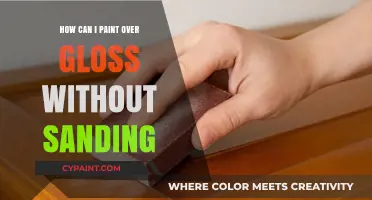 Painting Over Gloss: A Sanding-Free Guide for Beginners